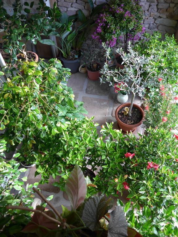 Au Palton Bed & Breakfast Raon-aux-Bois Dış mekan fotoğraf